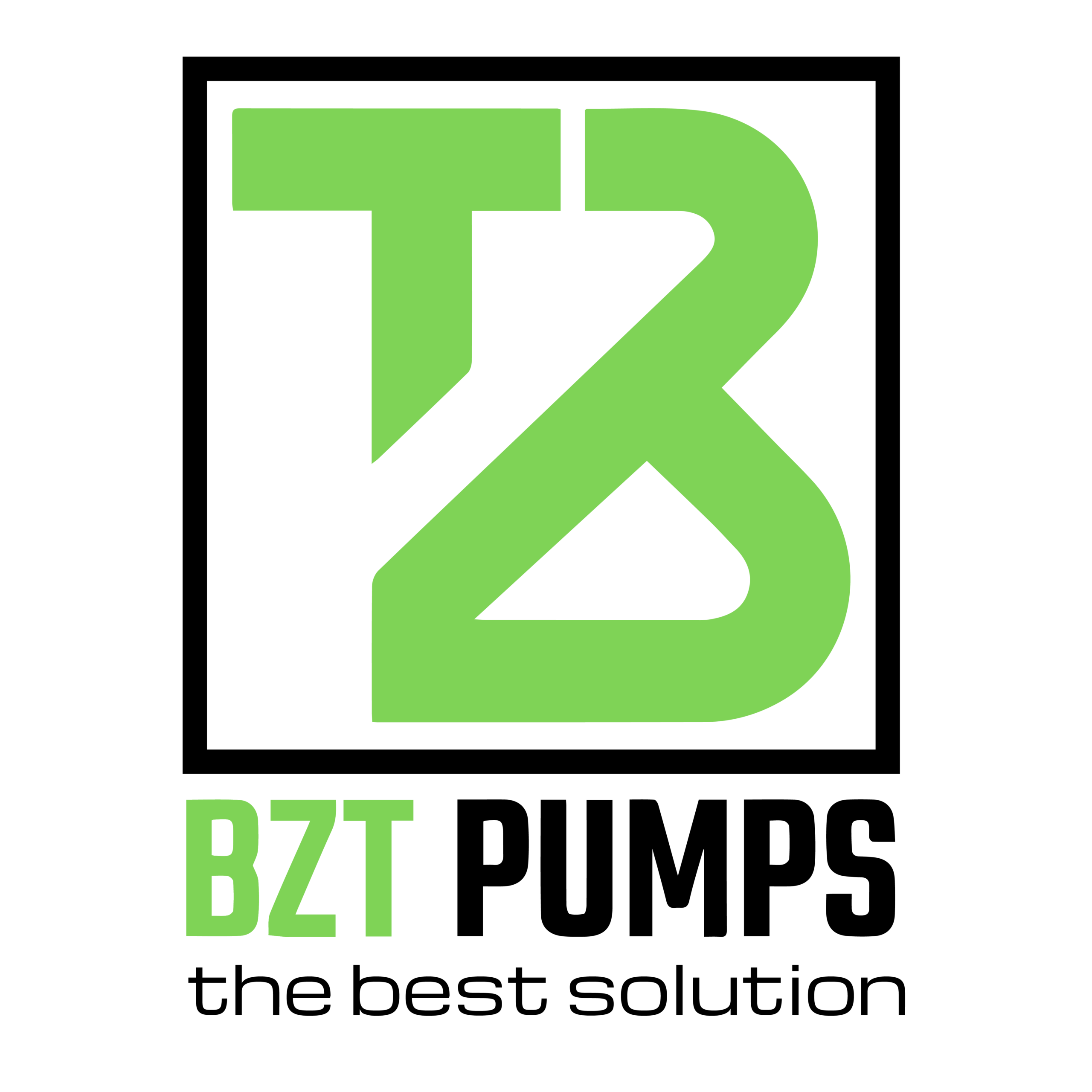 BZT Pumps