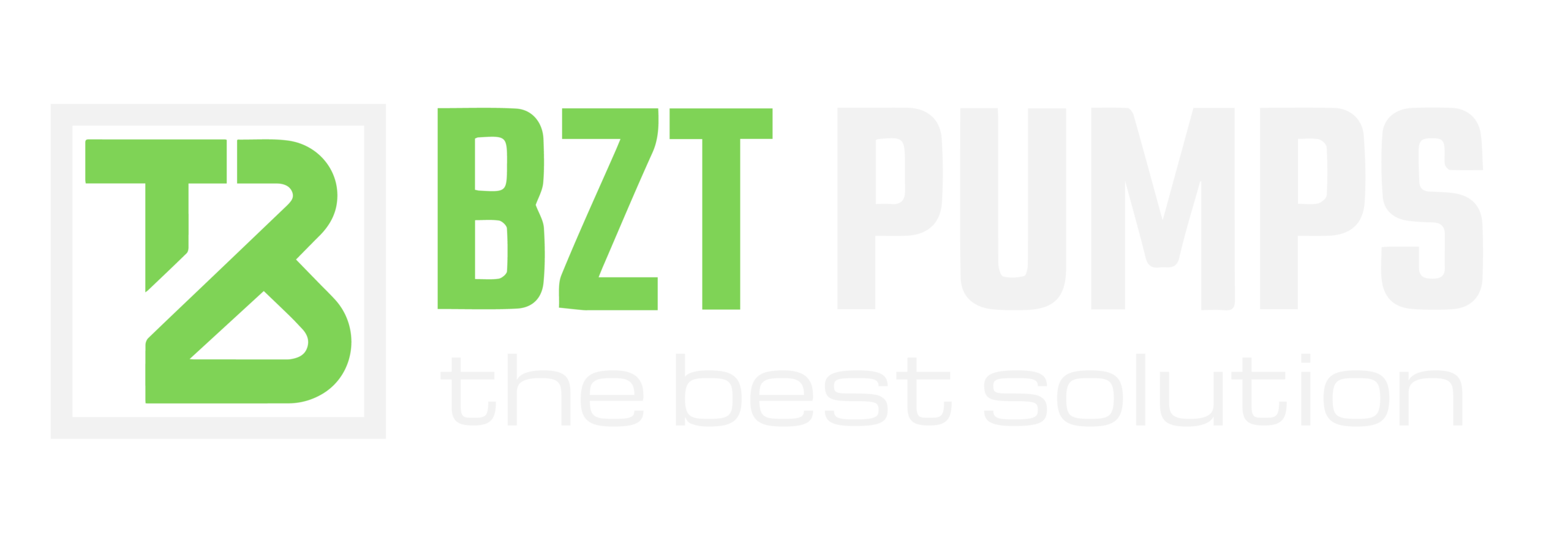 BZT Pumps Logo